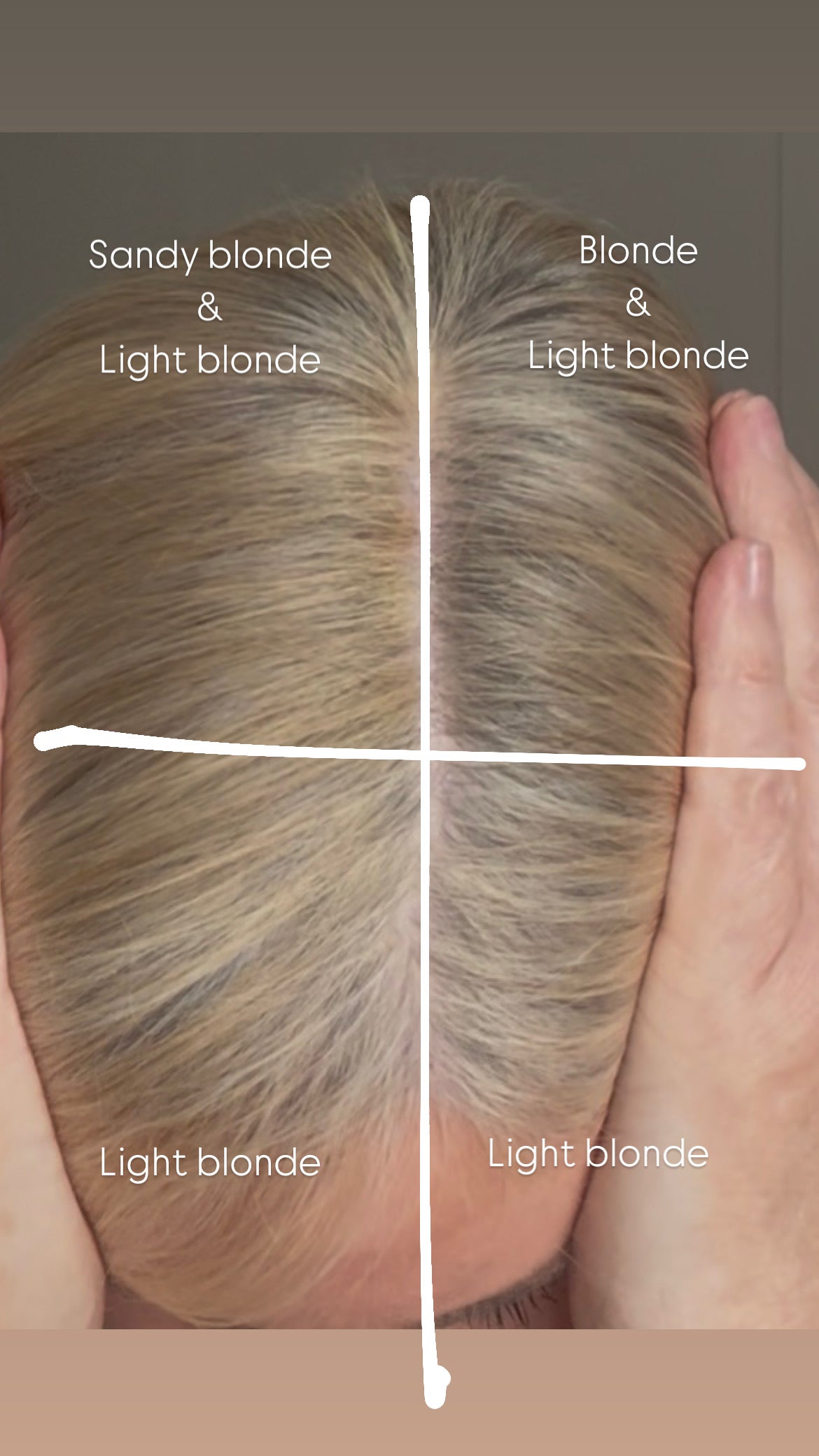 Just For Blondes Root Cover Up
